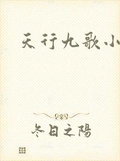 天行九歌小说