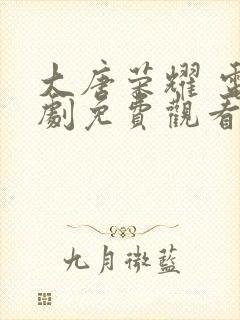 大唐荣耀 电视剧免费观看高清封面