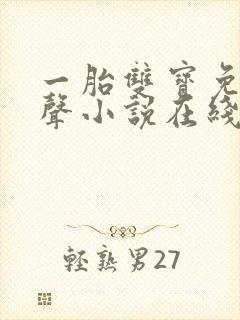 一胎双宝免费有声小说在线听封面