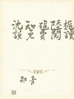 沈知砚陆栀夏小说免费阅读最新章节