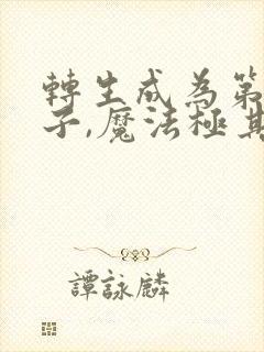 转生成为第七王子,魔法极其逆天