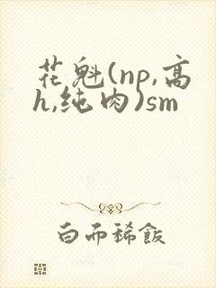 花魁(np,高h,纯肉)sm