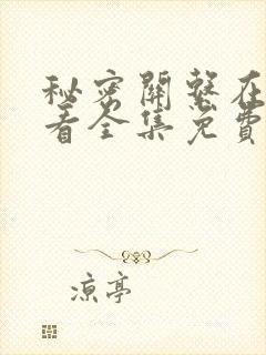 秘密关系在线观看全集免费高清