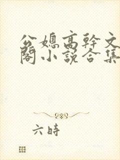 公媳高干文笔趣阁小说合集