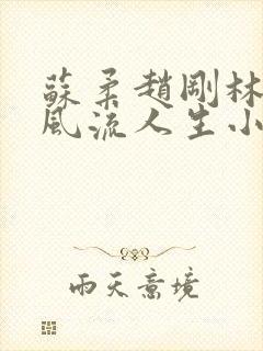 苏柔赵刚林风的风流人生小说封面