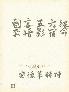 刺客五六级第四季暗影宿命免费观看封面