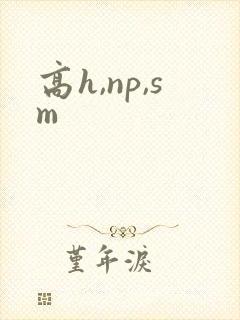 高h,np,sm