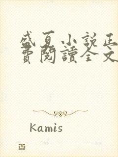 盛夏小说正版免费阅读全文无弹窗封面