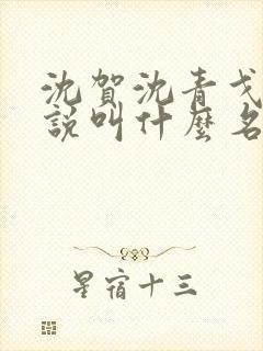 沈贺沈青戈的小说叫什么名字