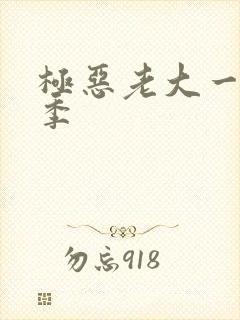 极恶老大一共几季