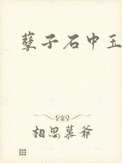 孽子石中玉