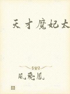 天才魔妃太难追封面