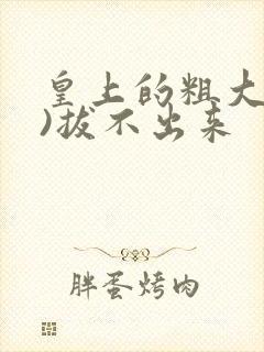 皇上的粗大(h)拔不出来封面