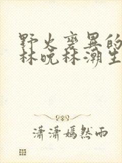 野火变异的父爱林晚林潮生封面