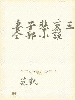 妻子悲哀三部曲全部小说