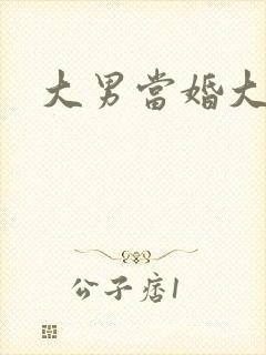 大男当婚大结局封面