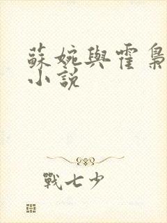 苏婉与霍枭寒的小说封面