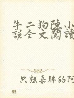 牛二狗陈小燕小说全文阅读