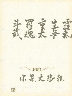 斗罗重生霍雨浩武魂太争气了笔趣阁封面