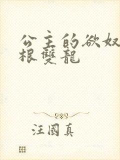 公主的欲奴h四根双龙