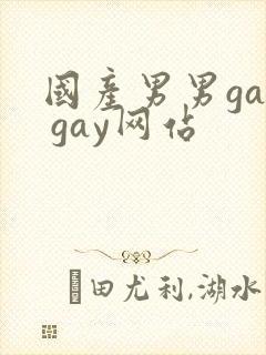 国产男男gay gay网站