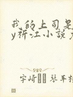 我的上司是网by祈江小说免费阅读