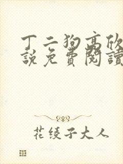 丁二狗高欣雅小说免费阅读