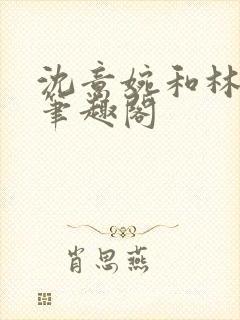 沈意婉和林砚屿笔趣阁封面