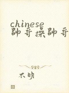 chinese帅哥操帅哥网站