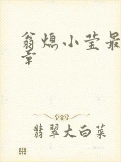 翁熄小莹最新节章