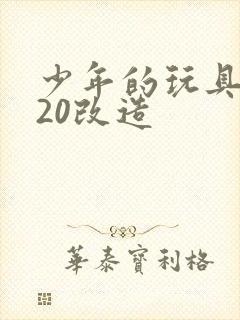 少年的玩具1一20改造