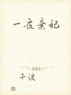 一夜弃妃封面