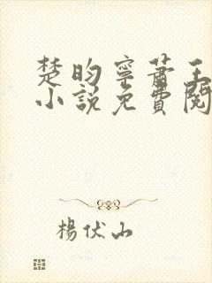 楚昀宁萧王穿越小说免费阅读无弹窗