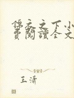 锦衣之下小说免费阅读全文无删减