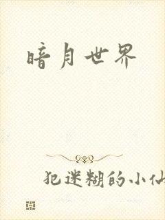 暗月世界封面
