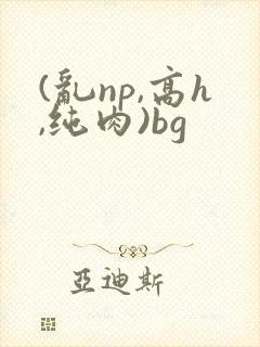 (乱np,高h,纯肉)bg