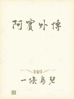阿宾外传
