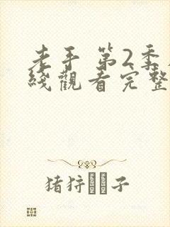 老手 第2季在线观看完整版高清