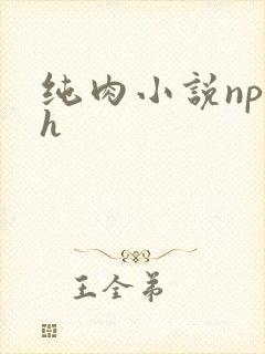 纯肉小说np高h