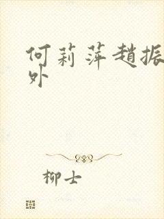 何莉萍赵振宇番外