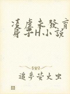 凌虐未发育的小身子H小说封面