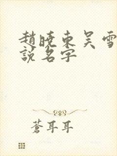 赵晓东吴雪晴小说名字