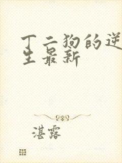 丁二狗的逆袭人生最新