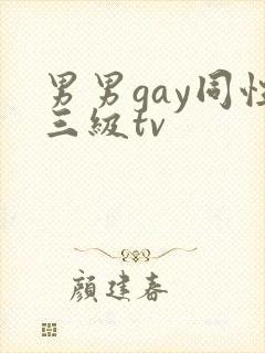 男男gay同性三级tv封面