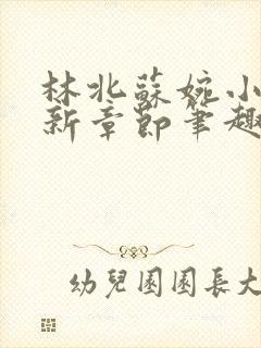 林北苏婉小说最新章节笔趣阁