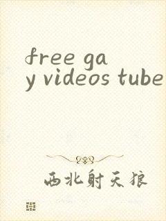 free gay videos tube