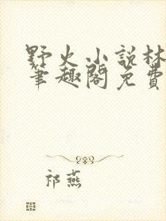 野火小说林晚晚笔趣阁免费阅读封面