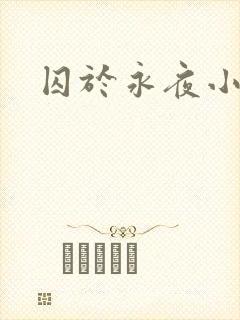 囚于永夜小说封面