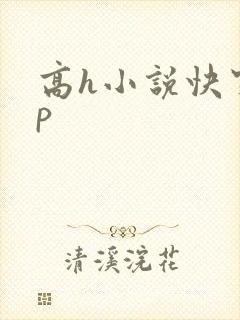 高h小说快穿np