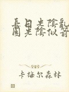 长日光阴乱作一团光阴似箭顾云云封面